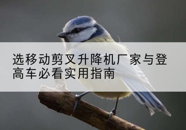 赤峰电动升降机厂家-选移动剪叉升降机厂家与登高车必看实用指南